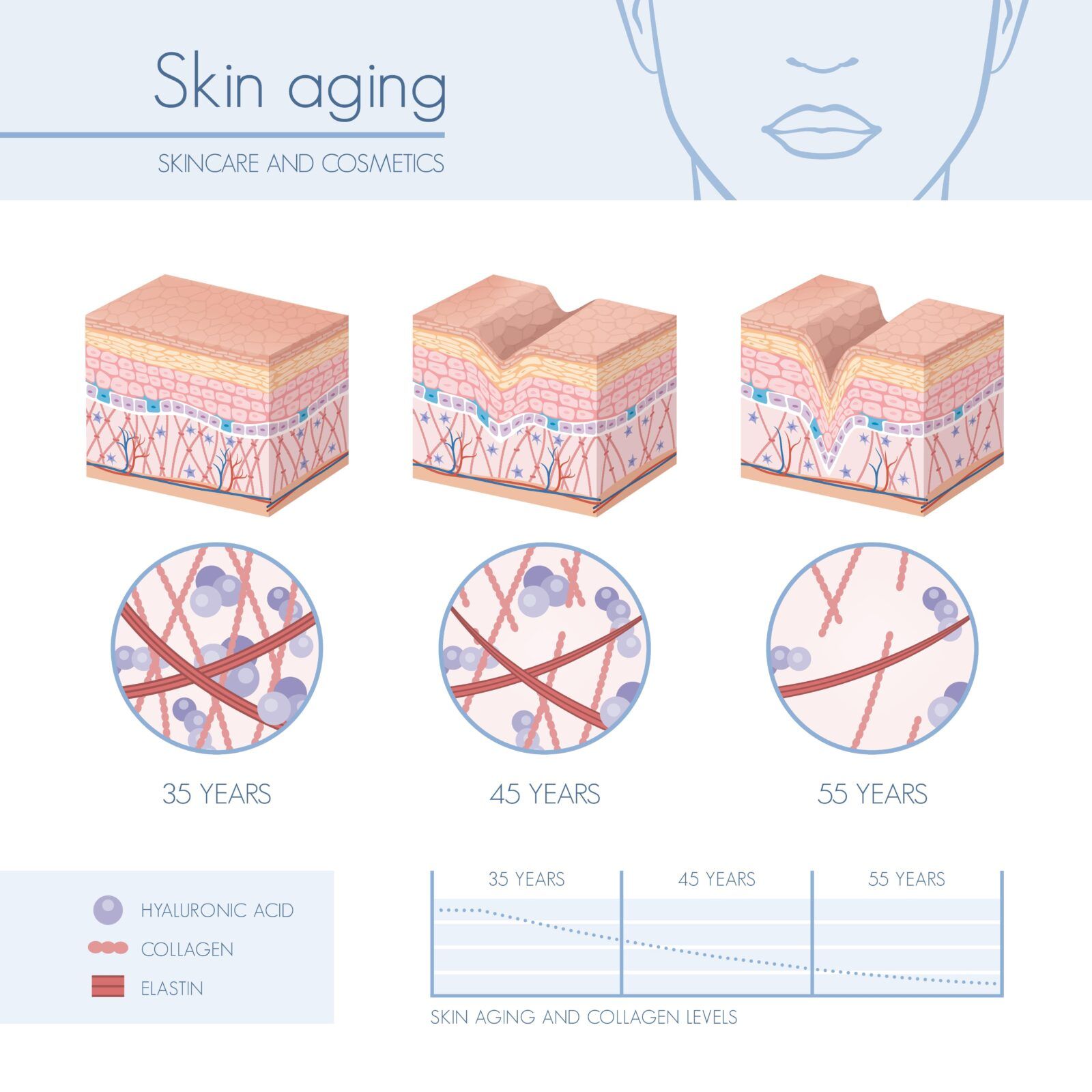 skin aging changes
